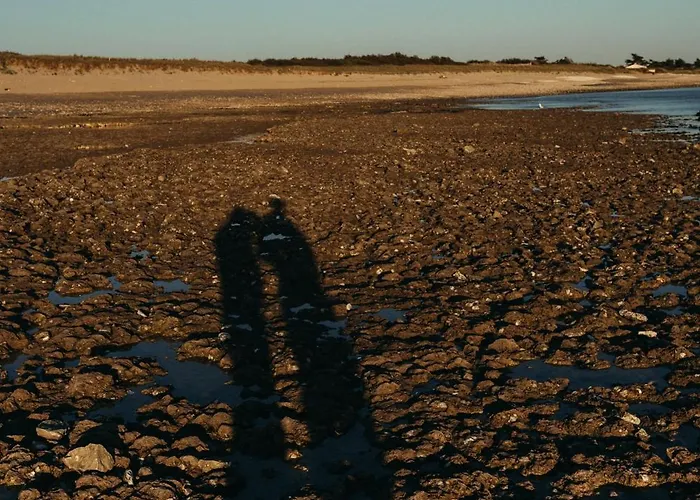 Hotel Oyat Ile De Re - Ex Escale Sainte-Marie-de-Re